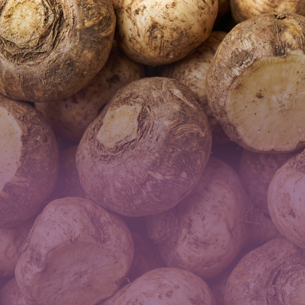 Maca Root Extract